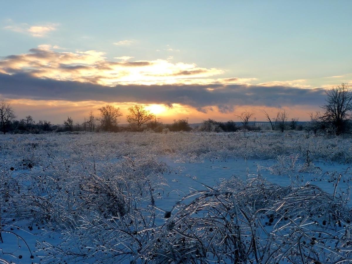 A serene winter landscape features snow-covered fields and trees under a sunset-lit sky.