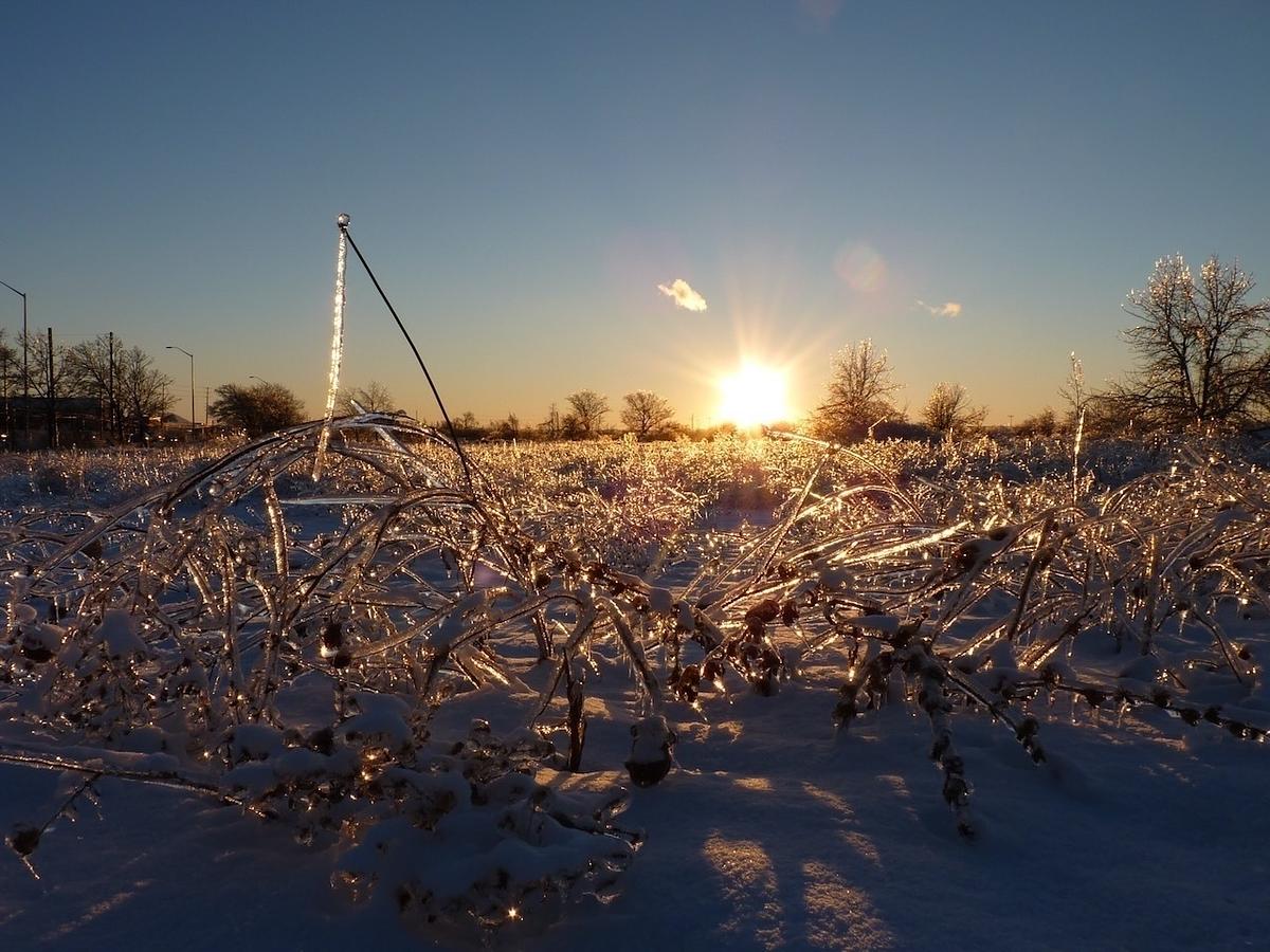 A serene winter landscape features grass covered in ice with the sun setting in the background.