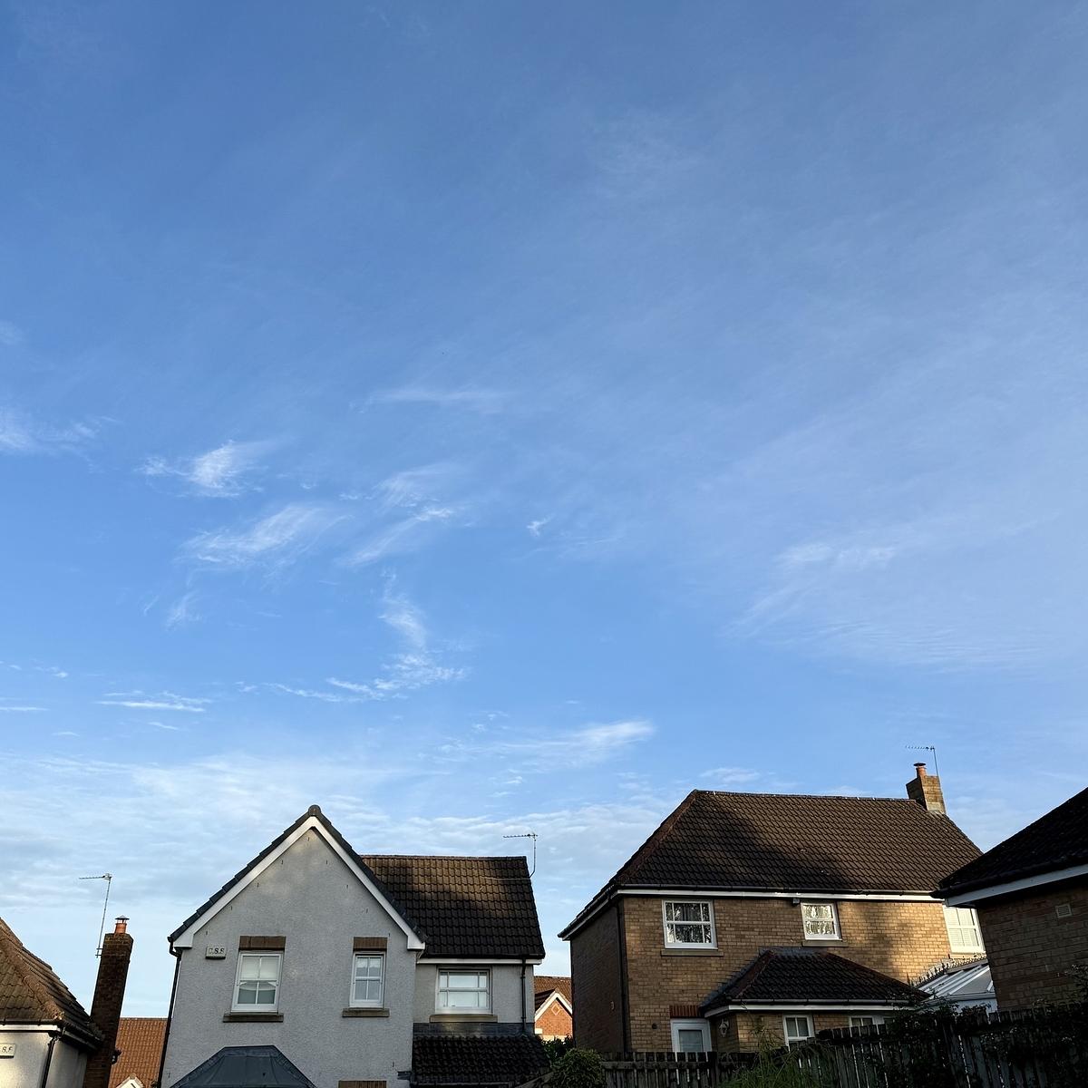 A clear blue sky stretches over a suburban neighborhood with several houses.