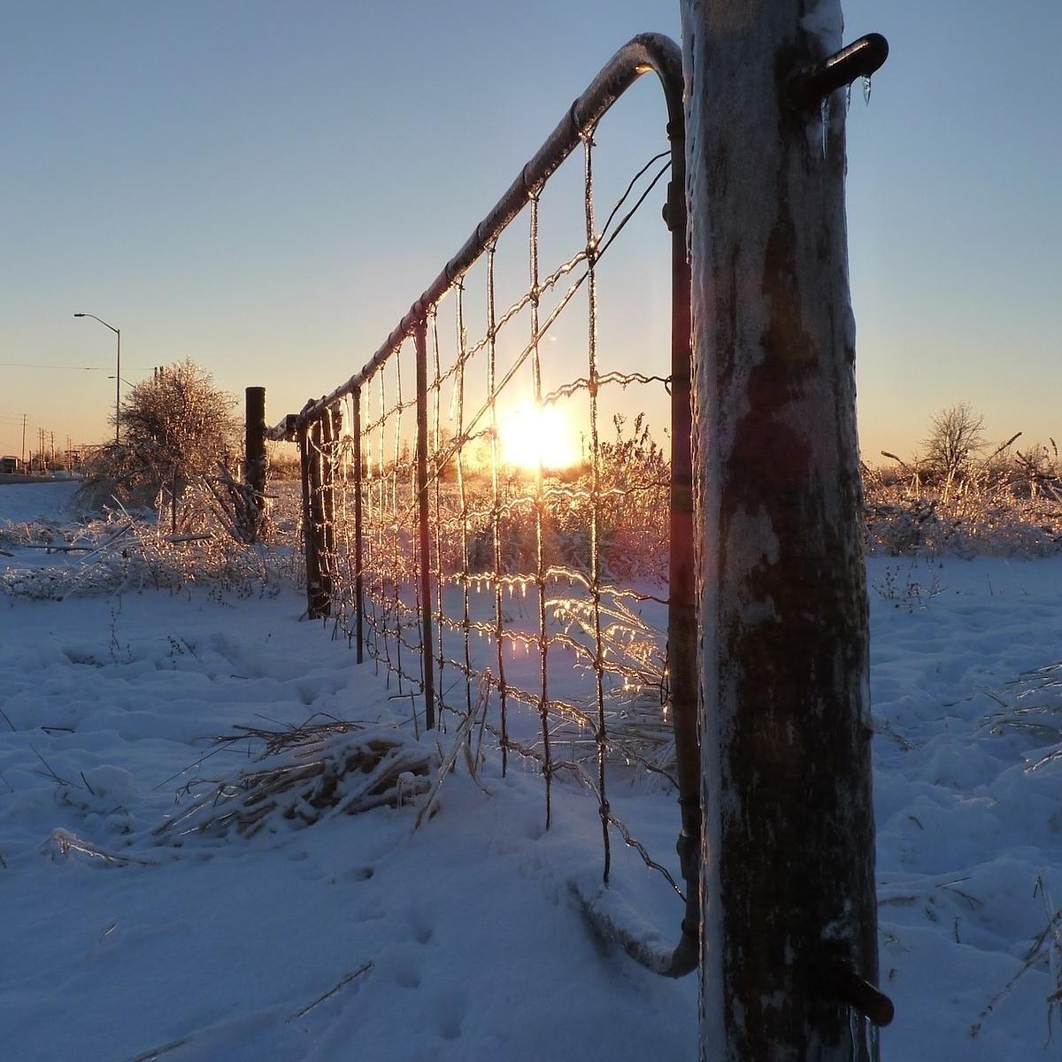 A snowy landscape features a frosted barbed wire fence with the sun setting in the background.