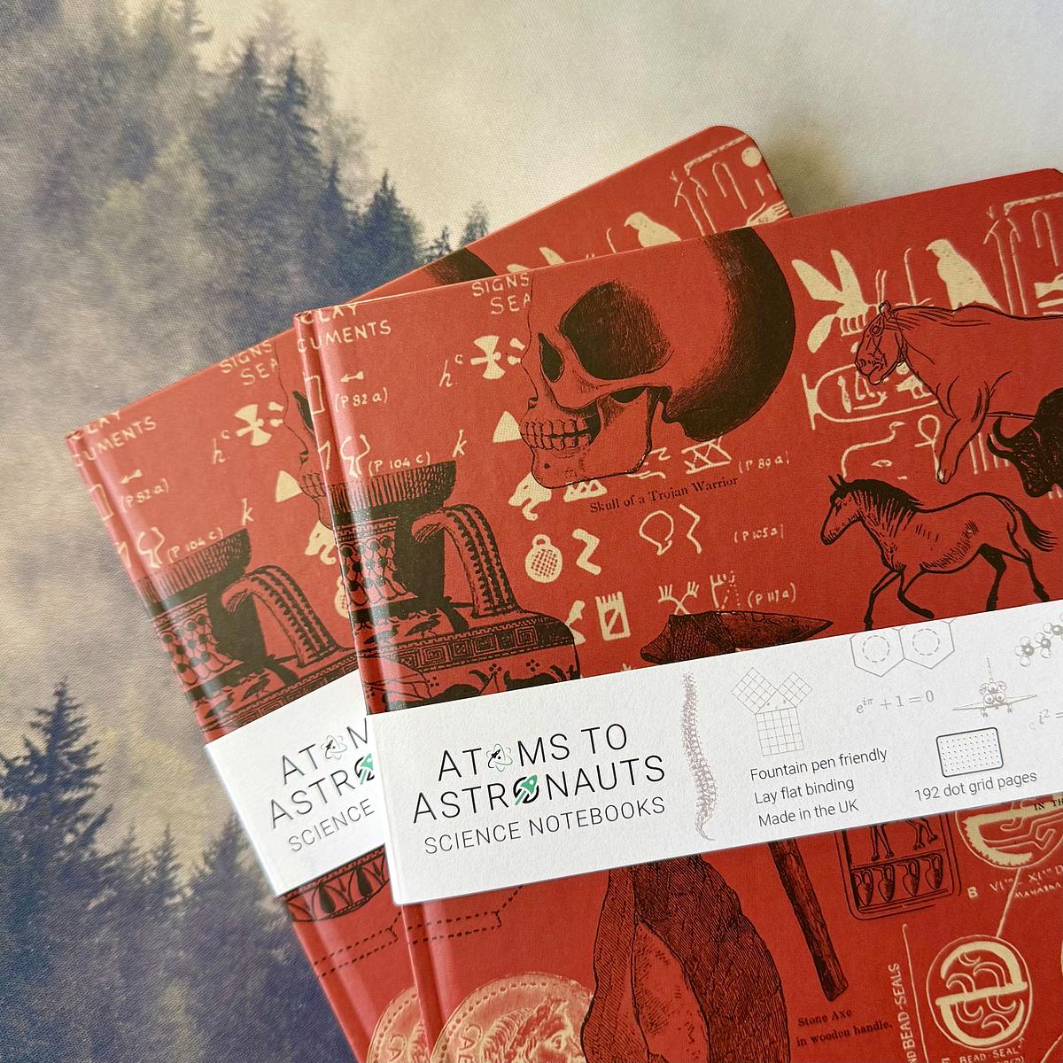 Two science-themed notebooks with red covers featuring illustrations of skulls, ancient symbols, and mathematical equations.