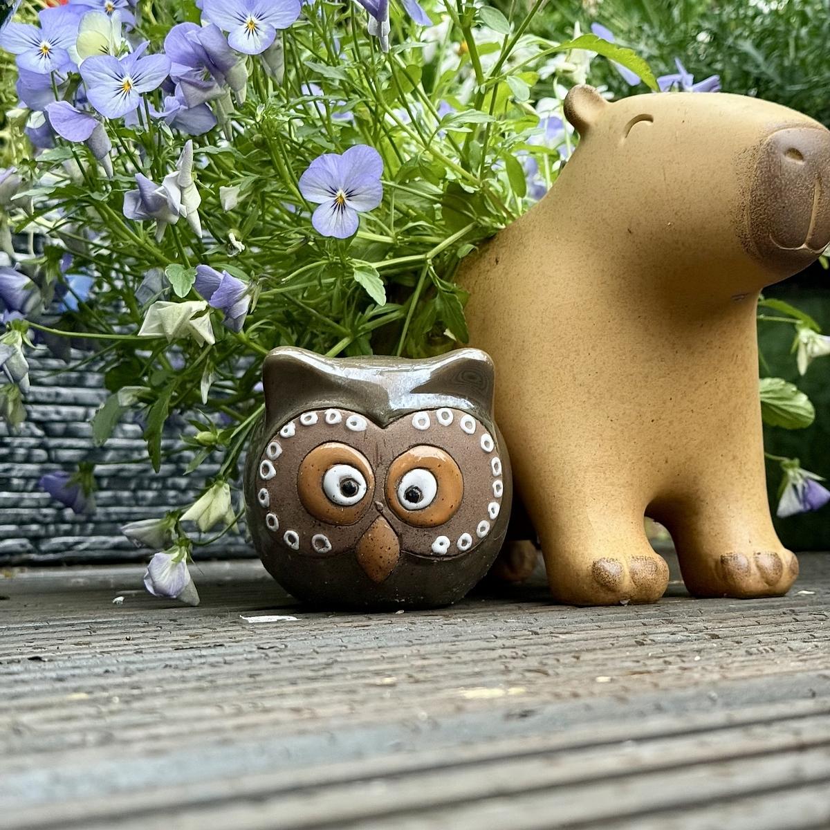 A small ceramic owl and a larger ceramic capybara sit side by side on a wooden surface, surrounded by purple flowers.