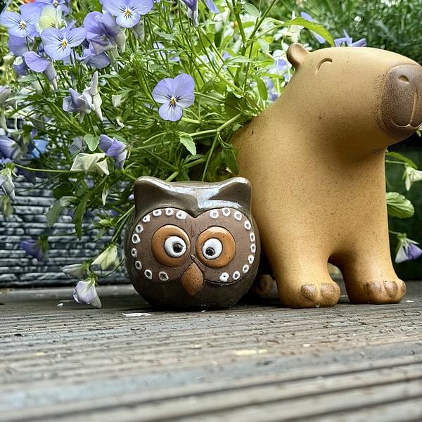 A small ceramic owl and a larger ceramic bear sit side by side on a wooden surface, surrounded by purple flowers.