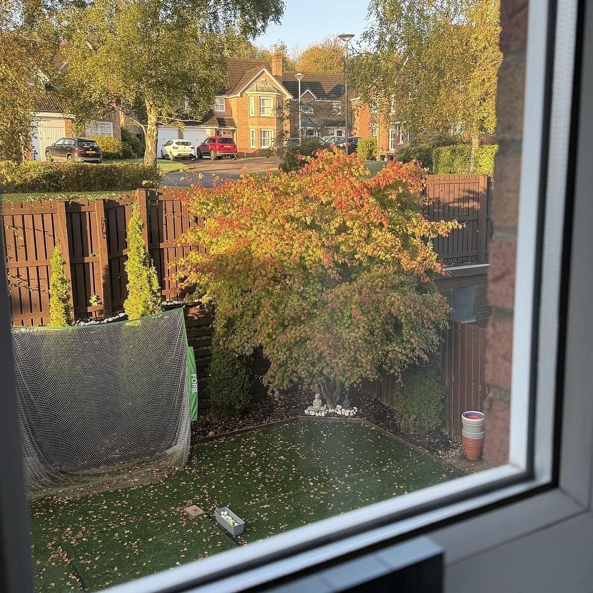 A view from a window shows a backyard with a tree changing colors in autumn, a lawn, and a fence, with houses visible in the background.