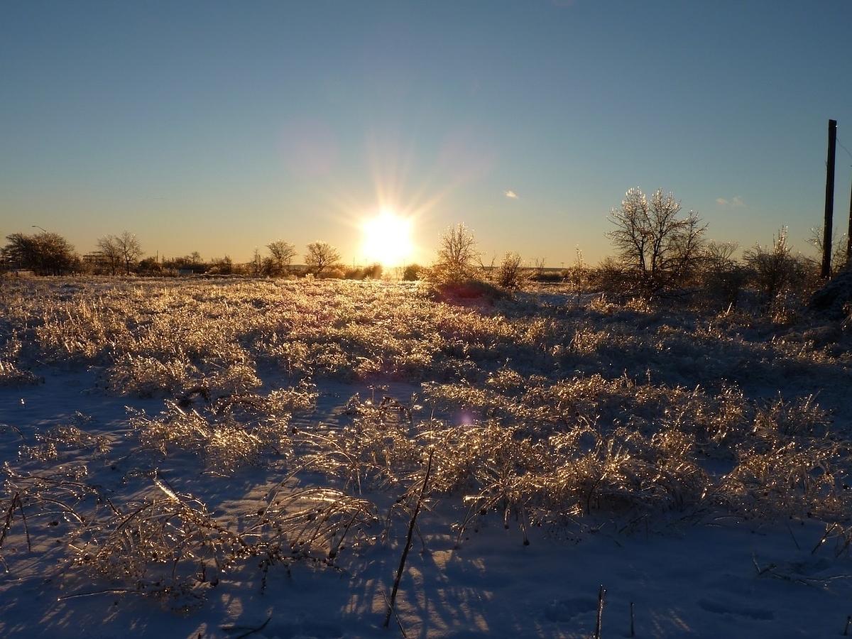 A serene winter landscape features a sunlit field covered in snow and ice under a clear blue sky.
