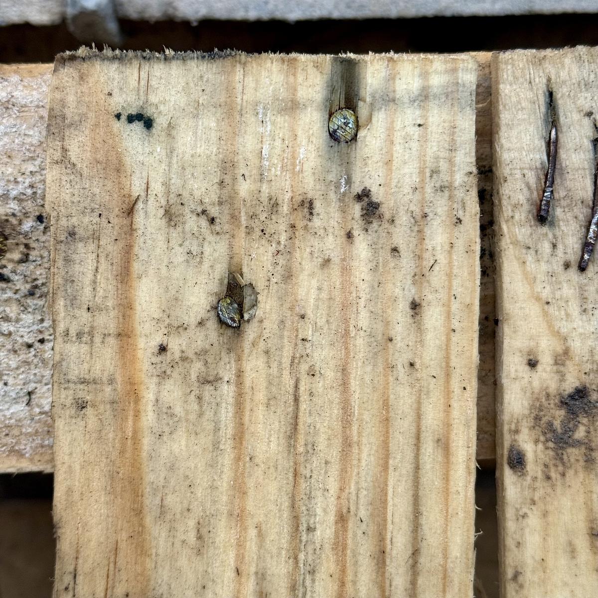 A wooden pallet has several nails embedded in it, with some rust and visible wear.
