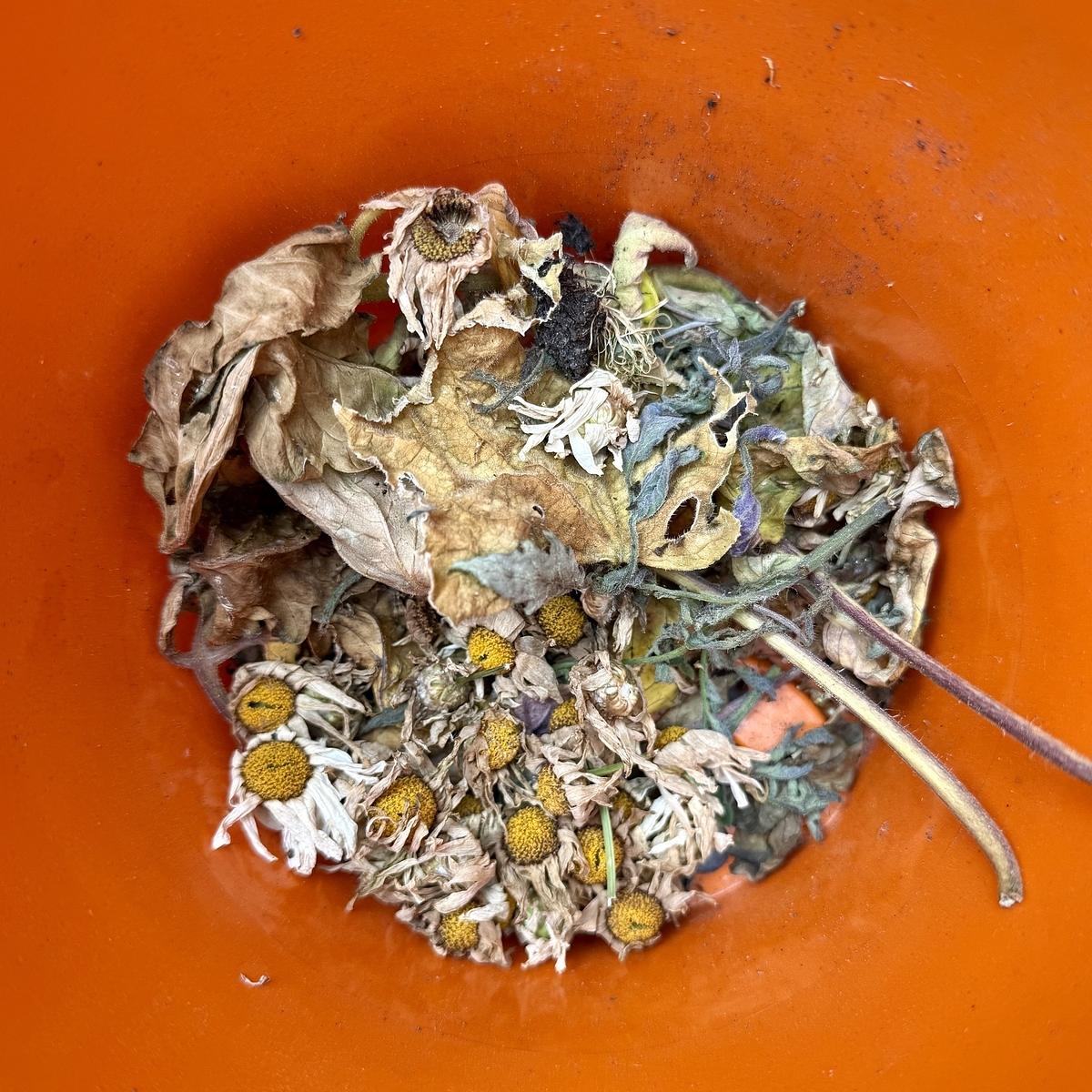 A collection of wilted flowers and dried leaves is arranged inside an orange container.