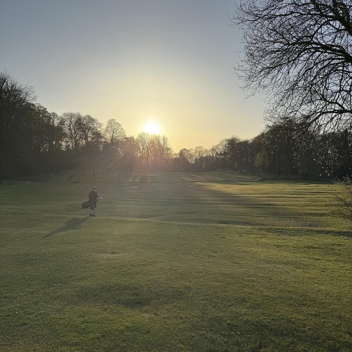 A person walks across a grassy field at sunset, surrounded by trees and casting a long shadow.