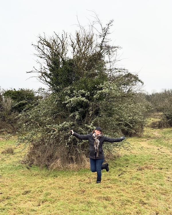 A person in a winter jacket and scarf strikes a joyful pose in front of a large, bushy tree in a grassy field.