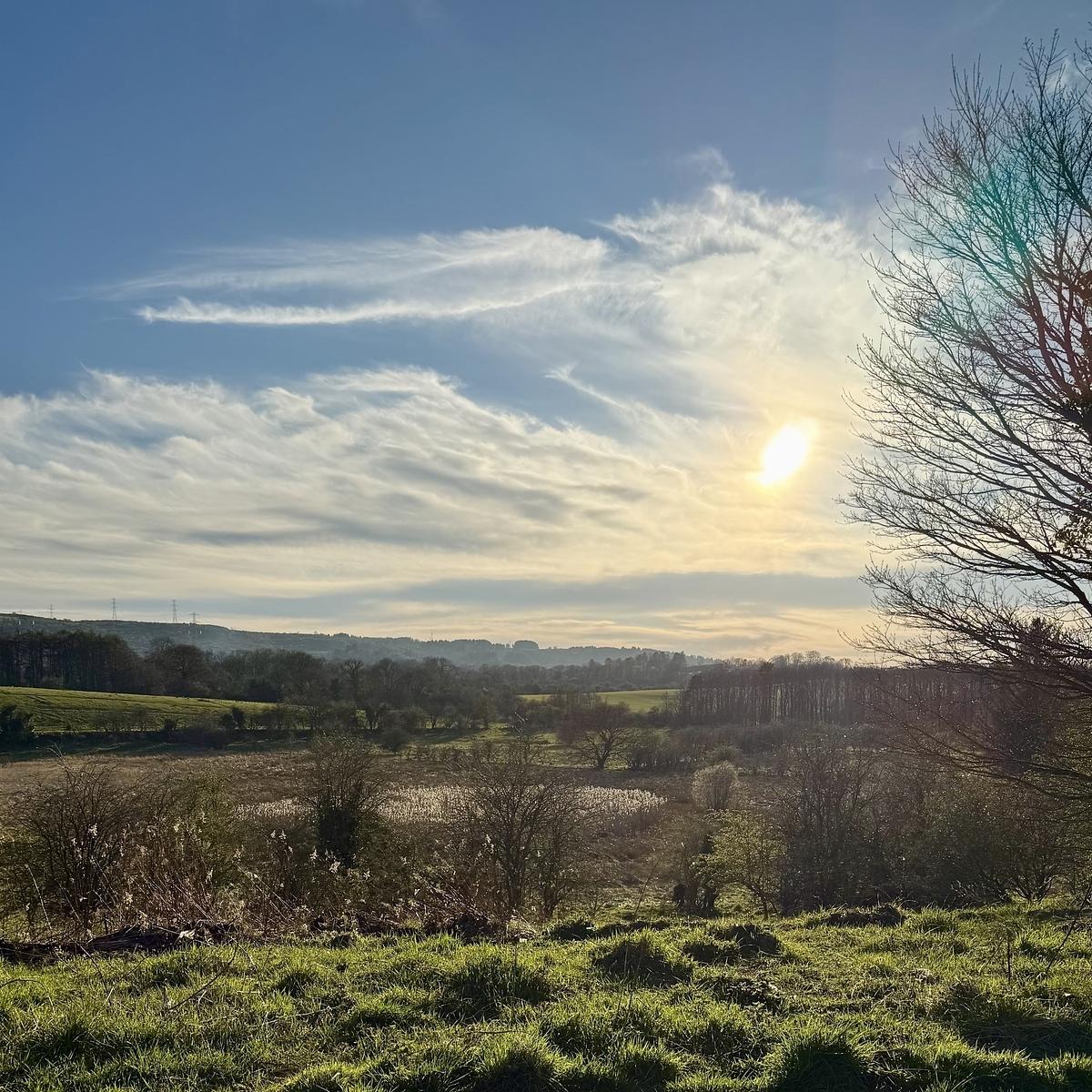 A tranquil landscape features a sunlit sky with wispy clouds, a field, and bare trees silhouetted against the horizon.