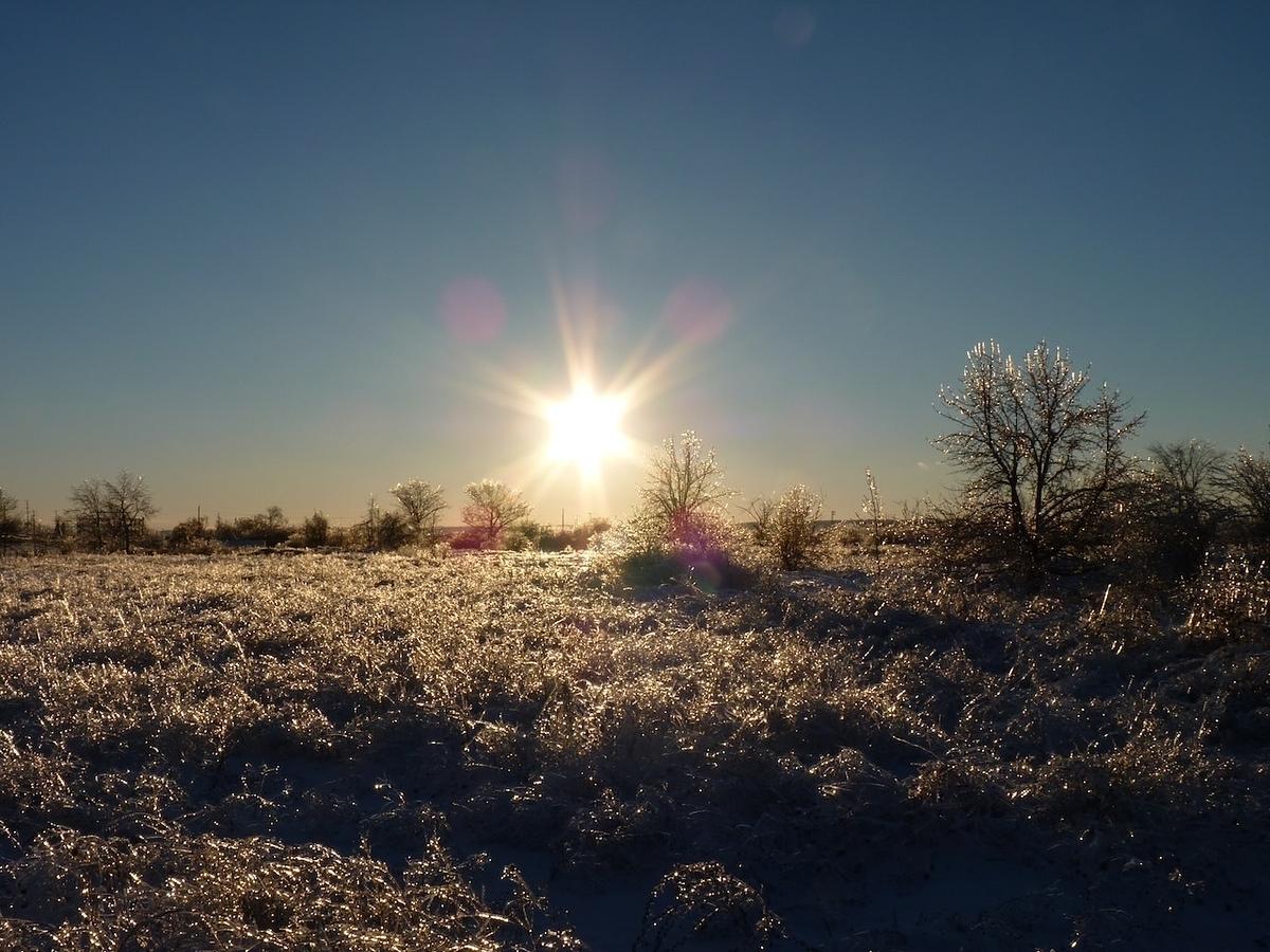 A wintry landscape is illuminated by a bright sun, with trees and grass covered in glistening ice or frost.