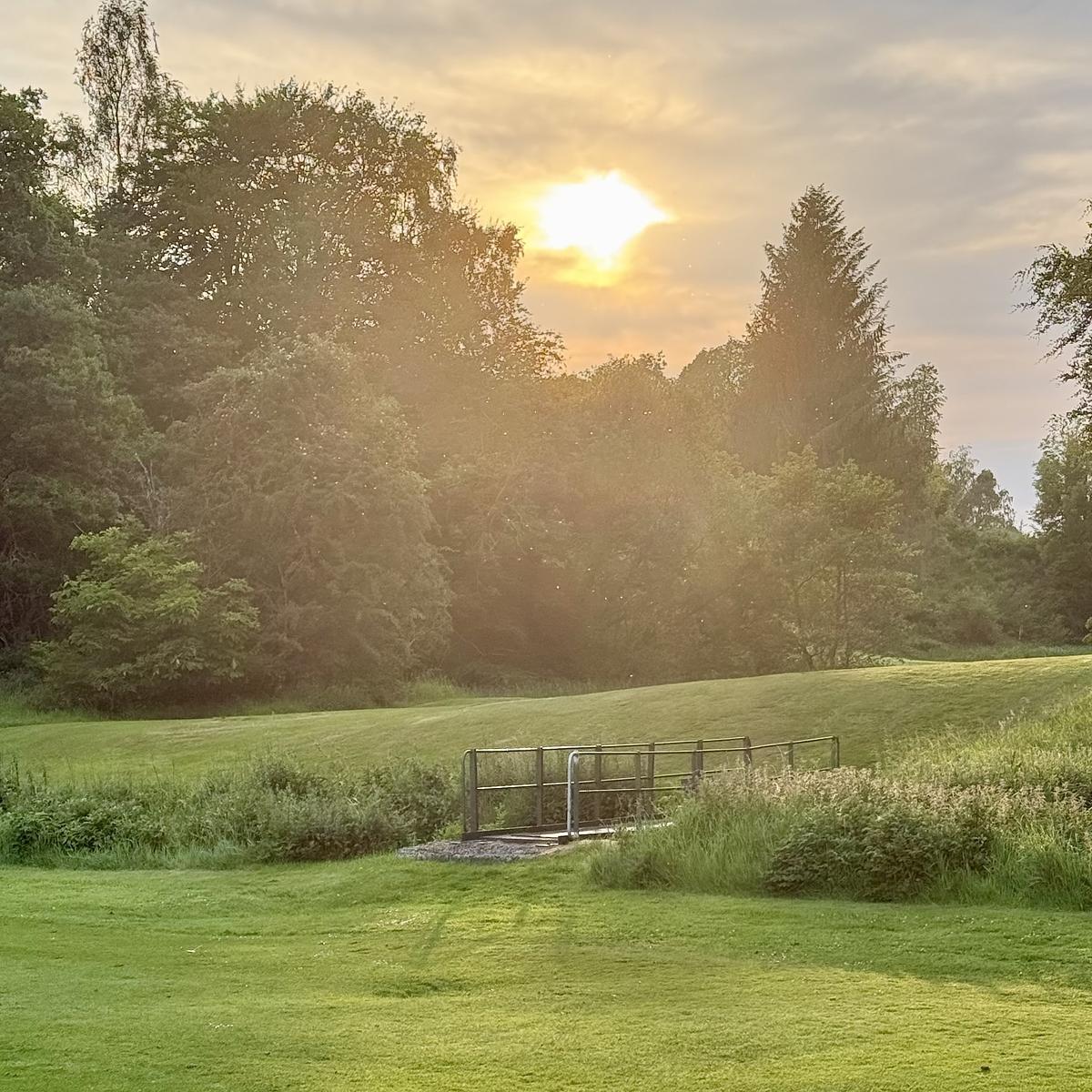 A serene sunset scene features lush green trees and grass, with a small bridge over water.