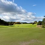 A golf course putting green with a white flag pin, lush fairway, scattered trees, and a partly cloudy blue sky.
