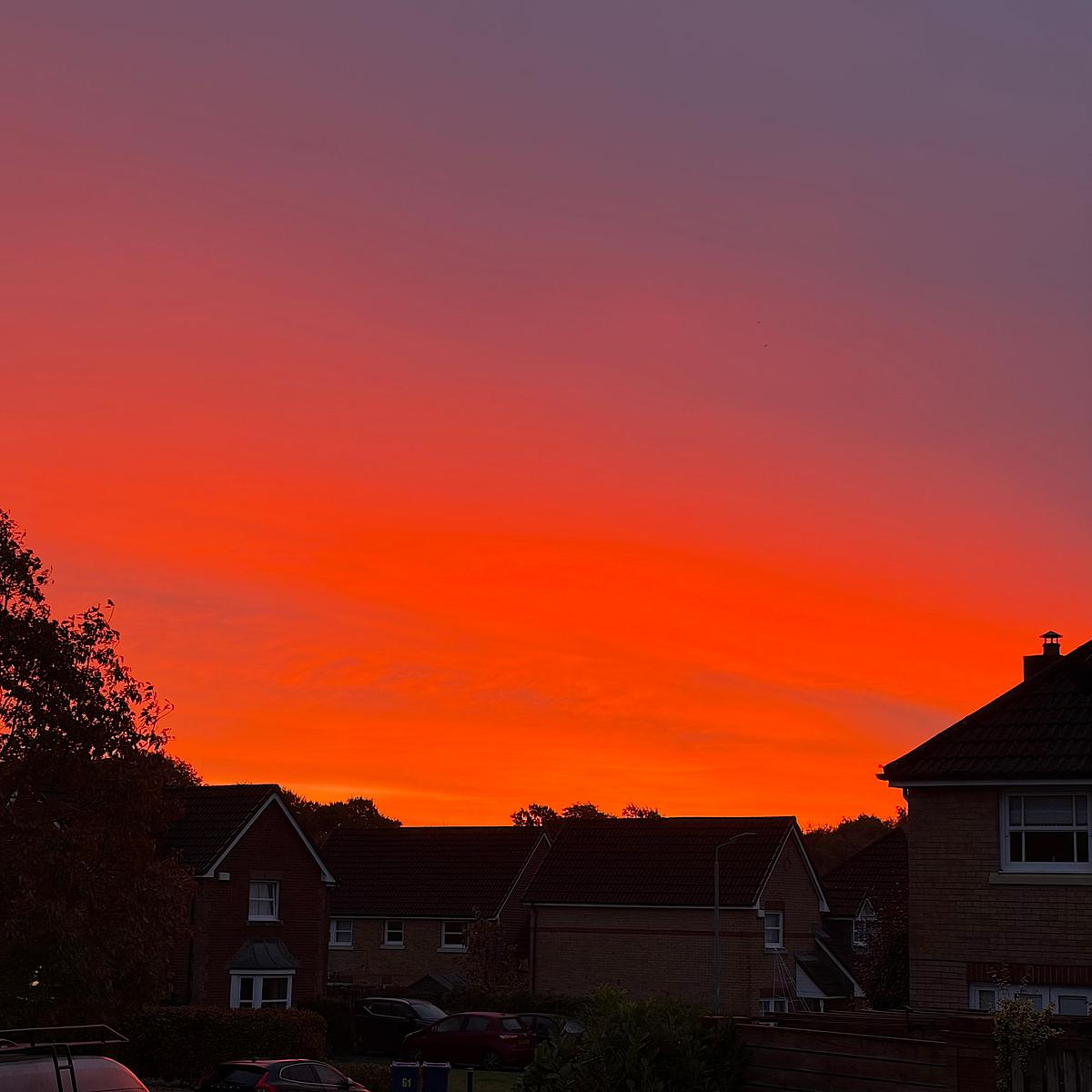 Vivid red and orange sunset sky over silhouetted suburban houses and trees in a residential neighborhood.
