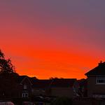 Vivid red and orange sunset sky over silhouetted suburban houses and trees in a residential neighborhood.